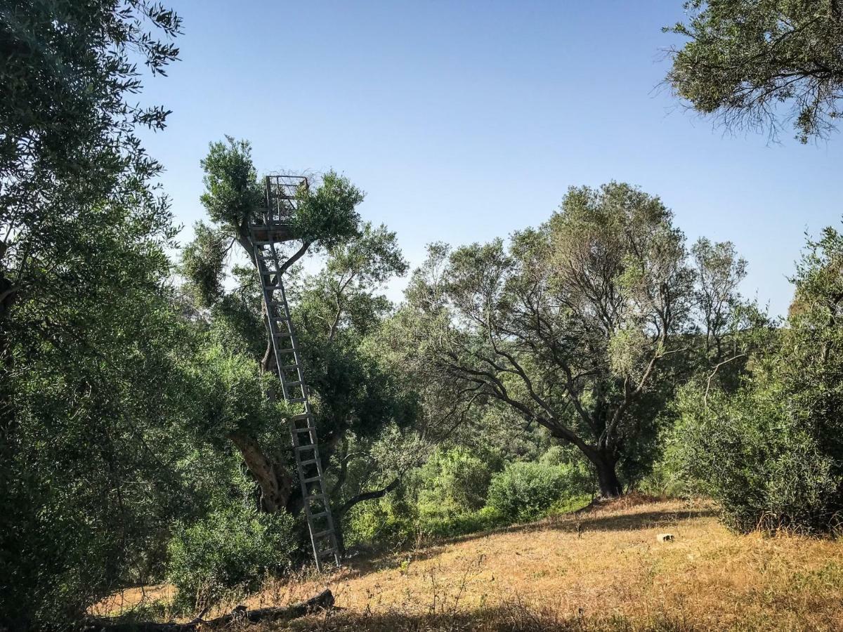 Hidden gem in nature reserve near the beach - Corfu South Kritika  Buitenkant foto